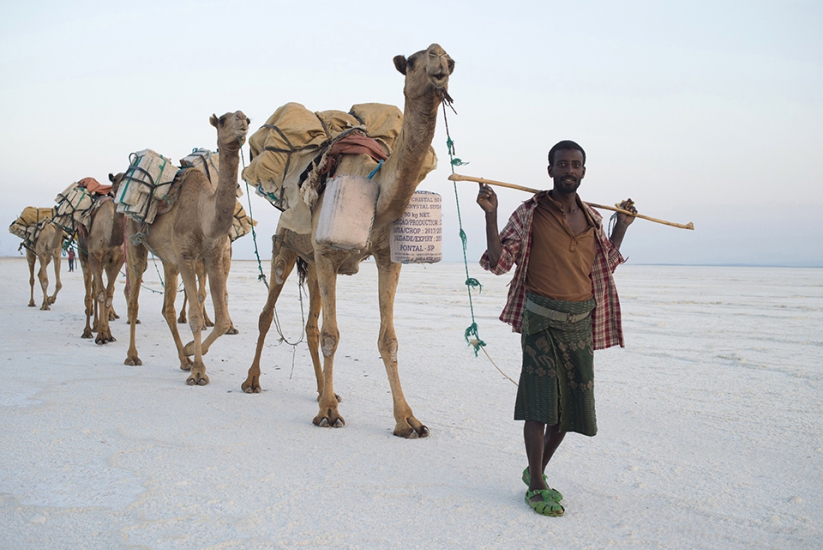 Le site de Olivier Cirendini, journaliste photographe de voyage, Homepage