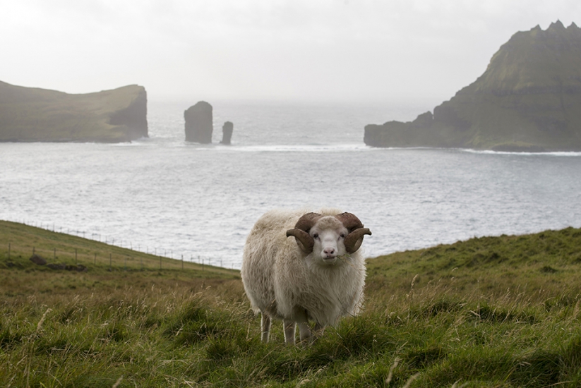 Le site de Olivier Cirendini, journaliste photographe de voyage, Homepage