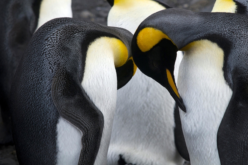 Le site de Olivier Cirendini, journaliste photographe de voyage, Homepage