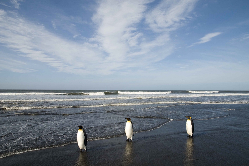 Le site de Olivier Cirendini, journaliste photographe de voyage, Homepage