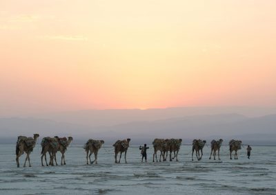 Ethiopie caravane de sel Danakil pays Afar - Olivier Cirendini